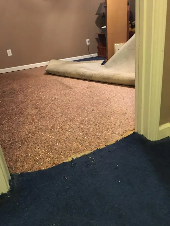 Carpet pad removal revealing water damage during Water Mitigation Services in Owings Mills