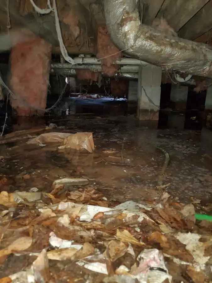 Crawl space flood assessment for Commercial Water Damage Restoration in Owings Mills