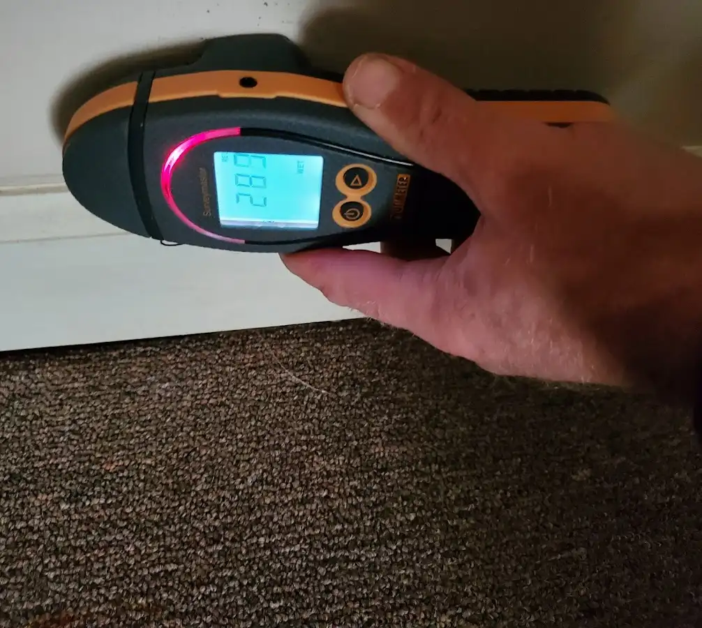 Moisture detection at baseboard during Sewage Cleanup & Sanitation in Owings Mills